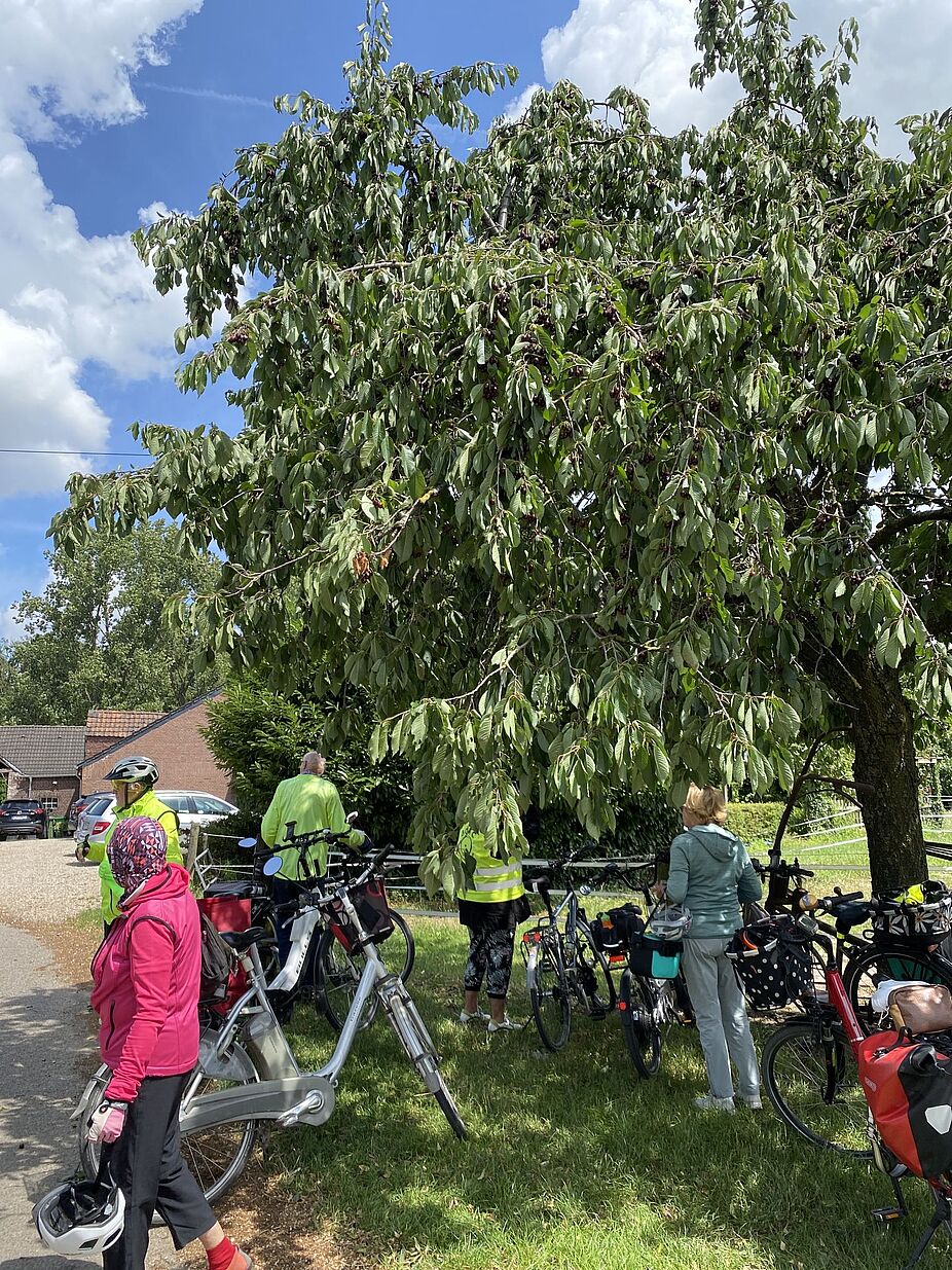 Ankunft am Hofcafe Ankunft am Hofcafe. Die Radelgruppe ist glücklich eingetroffen.