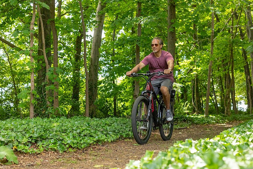 Mountainbike / Pedlec auf Waldweg Mountainbike / Pedlec auf Waldweg
