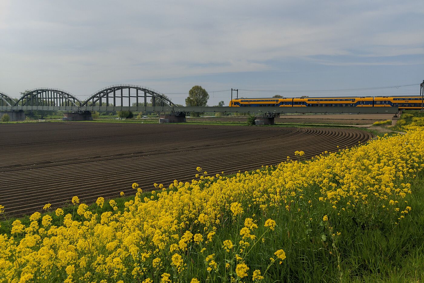 Edithbrug bei Ravenstein an der Maas