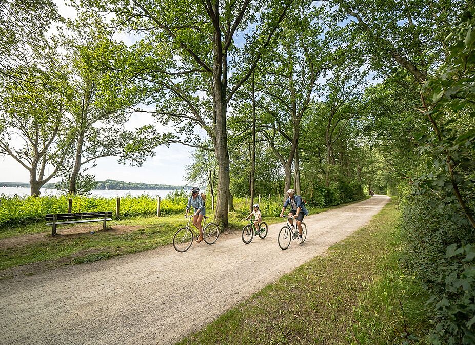 Stausee entlang der Hohen Mark Radroute.